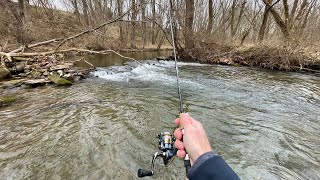 TROUT Fishing Small Creek with Spinners