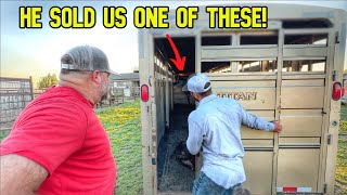 Next Day Surprise When We Pulled Into Our Pasture! by Cross Timbers Bison 149,362 views 3 weeks ago 15 minutes