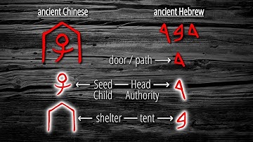oracle bone script - part 8 - mysterious Seed