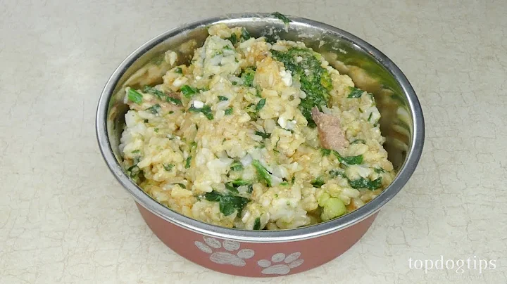 Dog Food Recipe for Picky Eaters