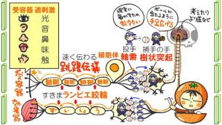 生物４章１話「刺激と反応」ｂｙWEB玉塾