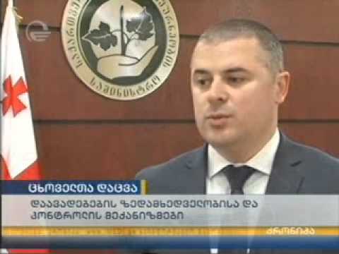 ცხოველთა ჯანმრთელობის მე-16 კონფერენცია