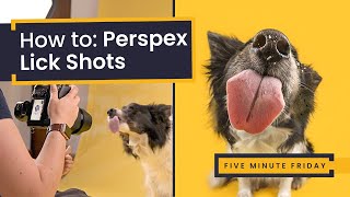 How To: Capture Perspex Lick Shots in Studio | Dog Photography Studio Fun