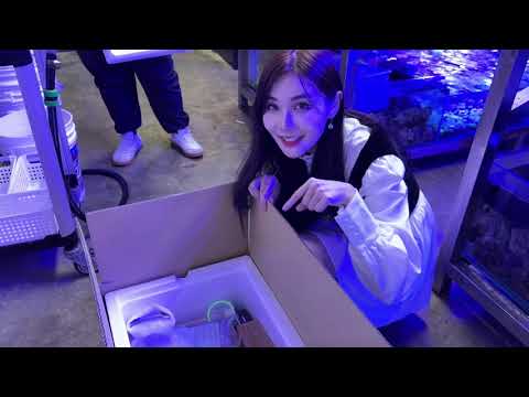 【張小筑】海洋空間Oceanspace-全台唯一水母創始店｜超大養殖場ＷＯＷ！