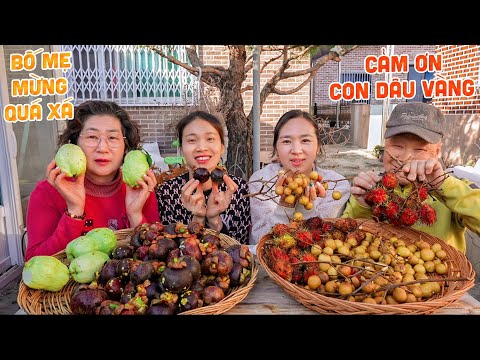 Video |906| ĐÃI NHÀ CHỒNG MÂM MĂNG CỤT KHÁNG UNG THƯ,ỔI,... - youtube