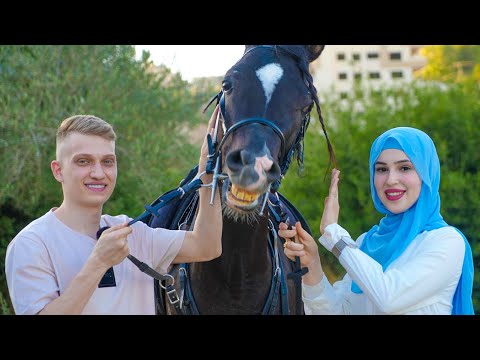 قضينا يوم كامل مع الخيول تجربة غريبة