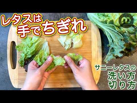 サニーレタスの洗い方と切り方 N D Kitchen Basic Youtube サニーレタスの洗い方と切り方 N D Kitchen Basic Youtube