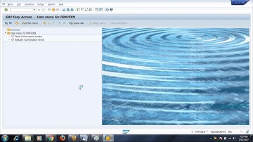 Day 4 - SAP Authorization Concept