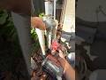 Pool Equipment Transformation #plumber #swimmingpool #backyardpool #pooltech