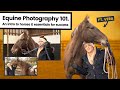 Horse Photography Basics: Equine Photography Safety, Terminology & Tips ft. "Vera" the Knabstrupper
