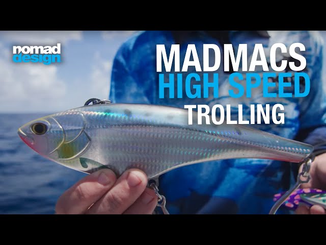 Nomad Design Madmacs 240 Sinking High Speed - 10 inch - Spanish Mackerel