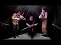 Fergal Scahill, Sean McCarthy & David Howley - Set Of Jigs