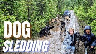 Dog Sledding in Alaska! #dogsled #dogsledding #alaska