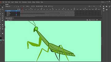 Edit Multiple Frames Explanation