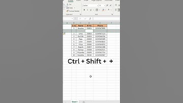 Insert a Row and Column in Excel | Easy Excel Tutorial for Beginners #excelshortcuts