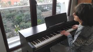 İki Keklik (Piyano) - Yusuf Can TOSUNER Resimi