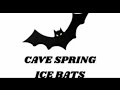 Cave Spring Ice Bats 2003 Goal Horn