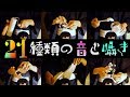 21種類の音と囁き【音フェチ＊ASMR】