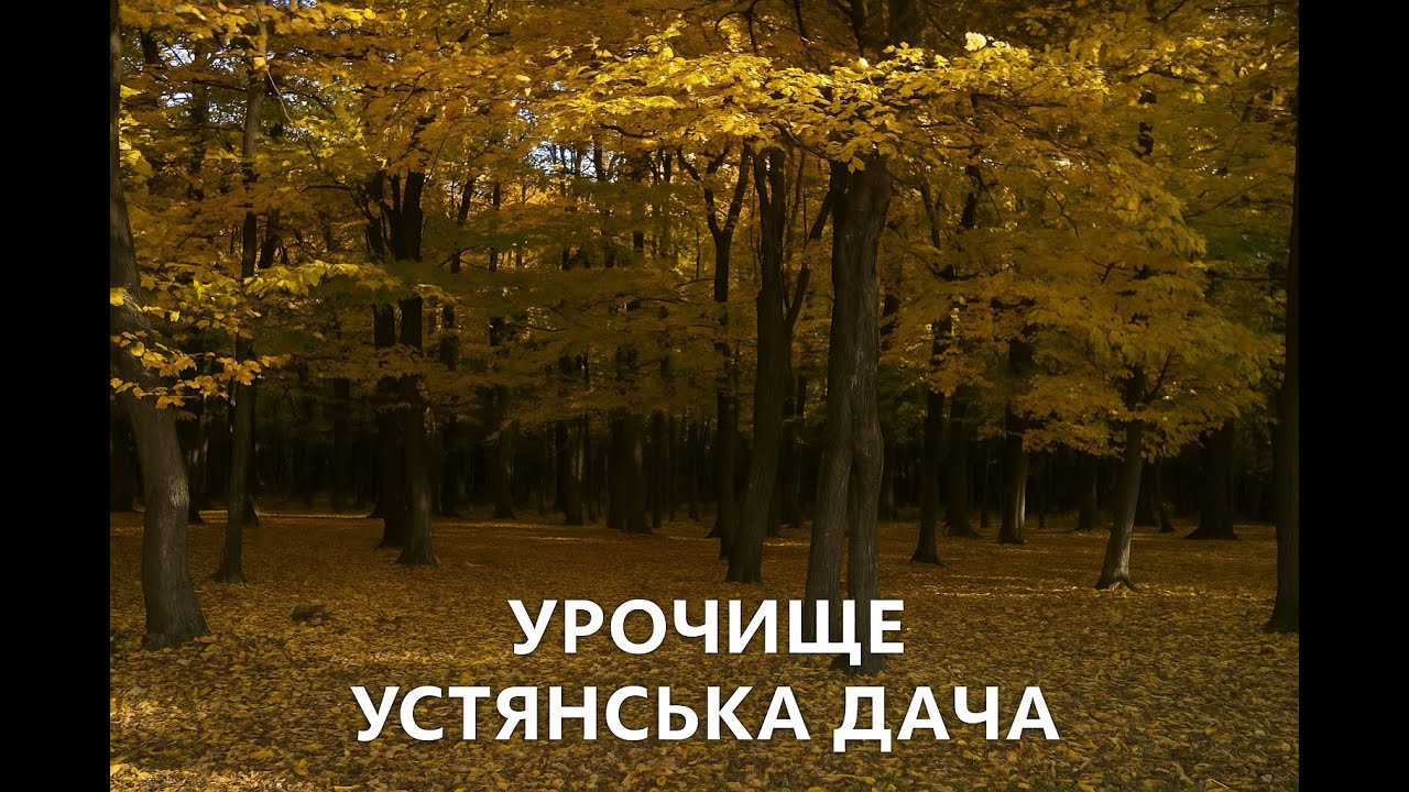 21 перлина Вінниччини | Урочище «Устянська дача», с. Поташня