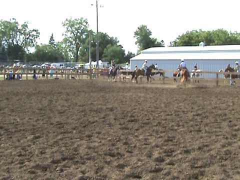 Anoka County Fair Horse Accident 2009