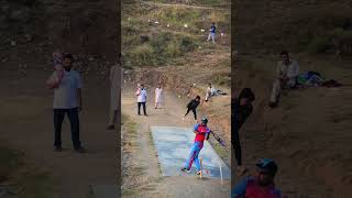 Best Wicket Cricket Highlights Sports 24