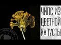 Как приготовить такую красоту? Прозрачный чипс из цветной капусты