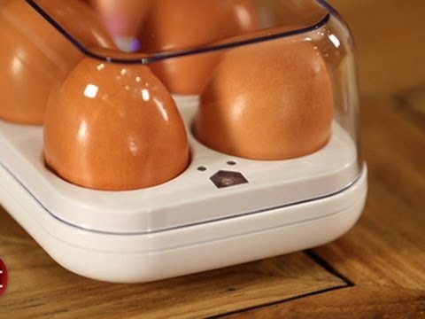 Counting your eggs before they hatch with the Quirky Egg Minder. - YouTube