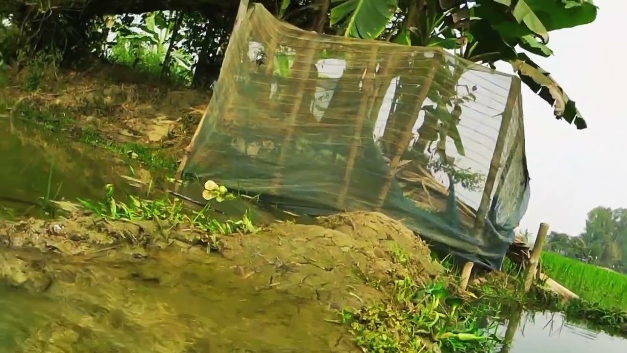 গ্রাম বাংলা 