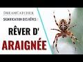 Rver daraigne  signification interprtations  symbolisme