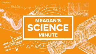 TSTC Robotics: KCEN Science Minute