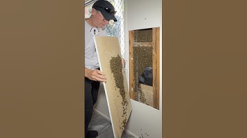 Eén koningin. Eén kans om het goed te doen.