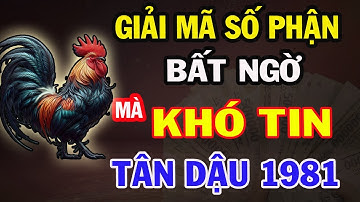 “Dấu Ấn Trời Định: TÂN DẬU 1981 sau Bão Tố Cuộc Đời, Là Những Chuyện  Bất Ngờ Và Khó Tin”