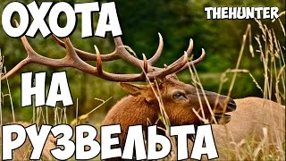 theHunter: Classic - Охота на оленя Рузвельта + соревнования охотников theHunter: Classic - Охота на оленя Рузвельта + соревнования охотников