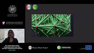 Ritter Petra - The Virtual Brain Cloud: Integrating multi-scale data through computational modelling