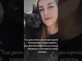Los gatos no llegan a tu vida por casualidad... #gatos #amor #misterios #paranormal