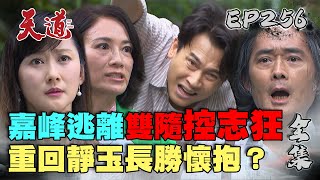 天道 EP256 完整版｜嘉峰逃出絕命鎮！雙隨哭哭兒子跟人走｜FIGHT FOR JUSTICE｜【萬士益冷氣】