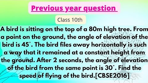 Class 10th maths previous year question||bird is sitting on the top of a 80m high tree.__[CBSE 2016]