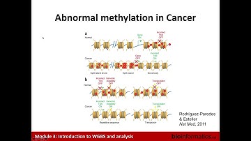 Introduction to WGBS and Analysis