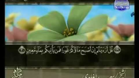 القرآن الكريم   الجزء التاسع والعشرون   تلاوة سعد الغامدي 29