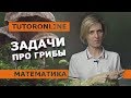 Математика | Задача про грибы