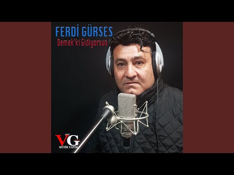 Demek'ki Gidiyorsun