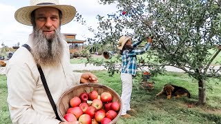 You NEVER PRESERVED APPLES like this!?!  OFF GRID | HOMESTEADING