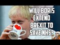 Can The NHS Convince Boris Johnson To Extend The Brexit Transition Period?