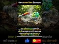 ये सच जानकर दिमाग हिल जाएगा😱#facts #psychologyfacts #didyouknow