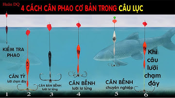 4 cách cân phao co bản trong câu lục