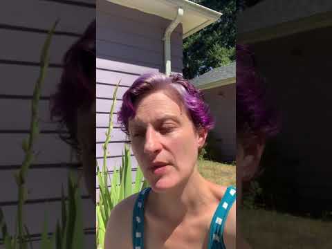 How to use manic panic ultra violet as a toner fade update - YouTube