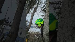 How to unstuck a tree by slicing the hinge wood. danger viral stihl dangerous canada tree