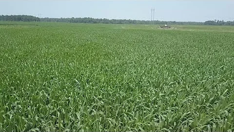 President Trump announces $12 billion agriculture package