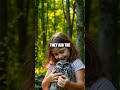 The Tale of Ruby, Bear, and the Hidden Owl's Insight