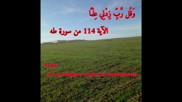 Apprendre le sain coran | تعلم القرآن الكريم بالفرنسية | الآية 114 من سورة طه برواية ورش